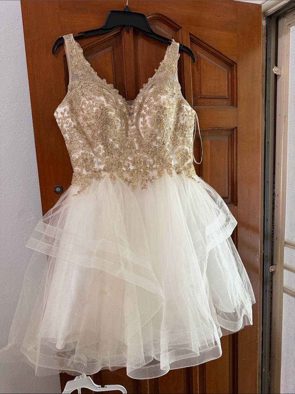 Ivory and Gold Embroidered Tulle Party Dress